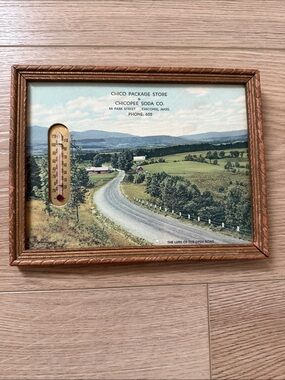 Vintage Framed Thermometer 7”x9”